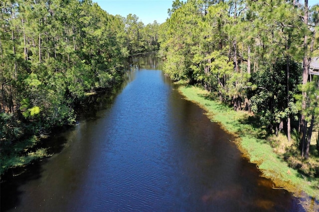 view of water feature featuring a forest view