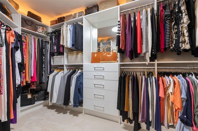 spacious closet with carpet