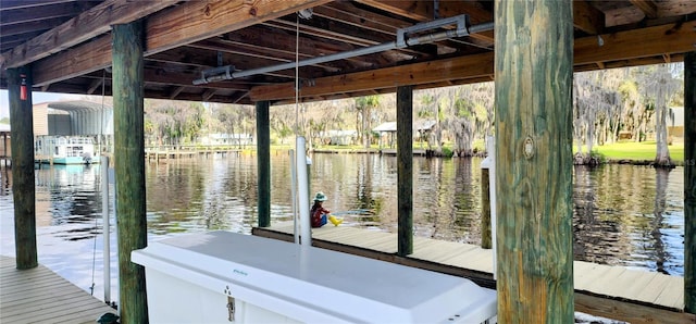 dock area with a water view