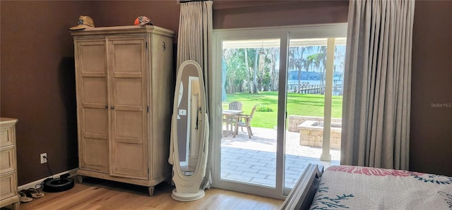 entryway featuring light wood finished floors and a healthy amount of sunlight