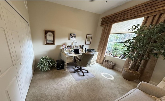 view of carpeted office space