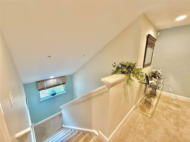 stairway featuring carpet floors and baseboards