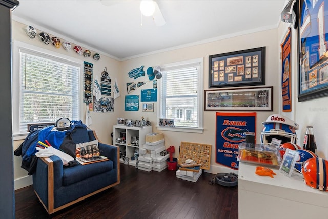 playroom featuring ornamental molding, a healthy amount of sunlight, and wood finished floors