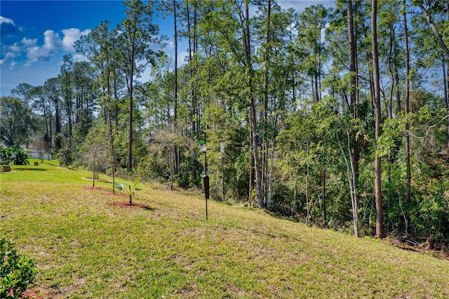 view of yard featuring a wooded view