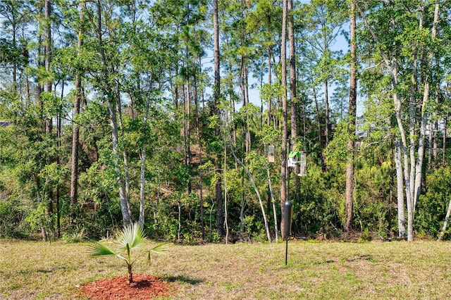 view of yard with a wooded view