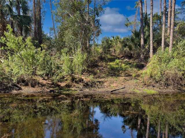 water view featuring a view of trees