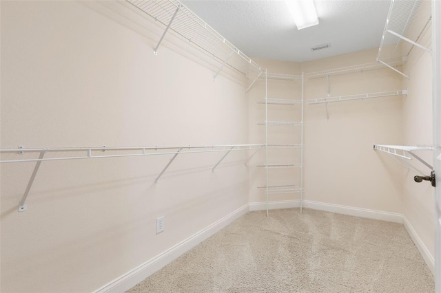 spacious closet featuring carpet