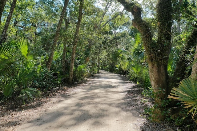 view of road