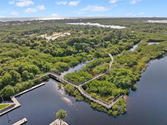 bird's eye view with a water view and a view of trees