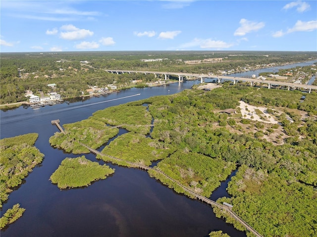 drone / aerial view with a water view and a view of trees