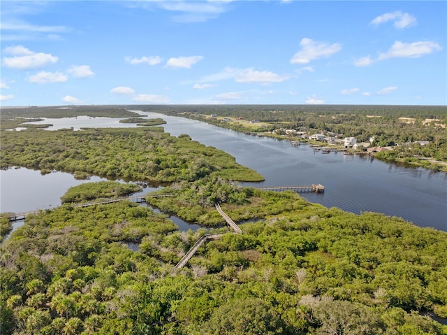 birds eye view of property with a water view and a wooded view