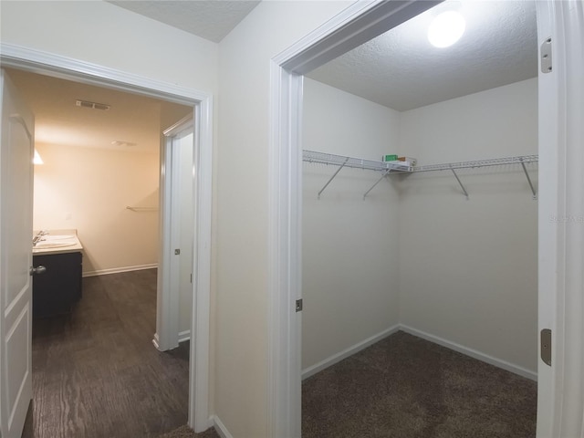 spacious closet featuring dark wood-type flooring and a sink