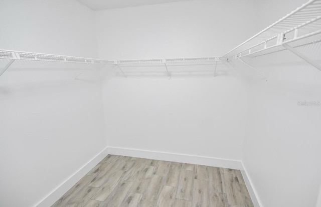 walk in closet featuring light wood finished floors