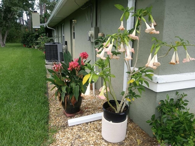 33 Poinsettia Ln, Palm Coast, FL 32164 - view of green lawn