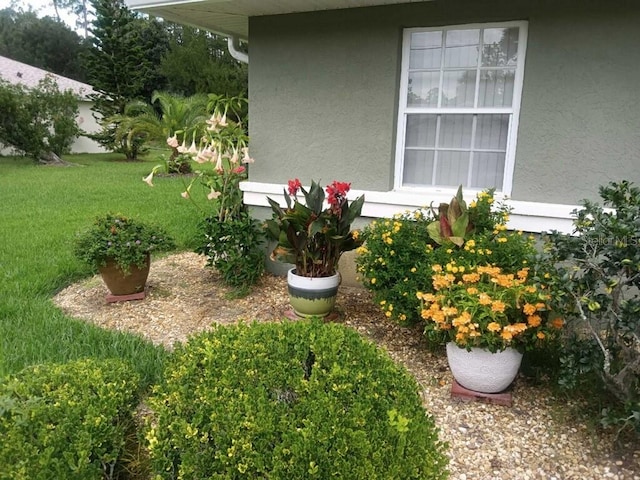33 Poinsettia Ln, Palm Coast, FL 32164 - view of grassy yard