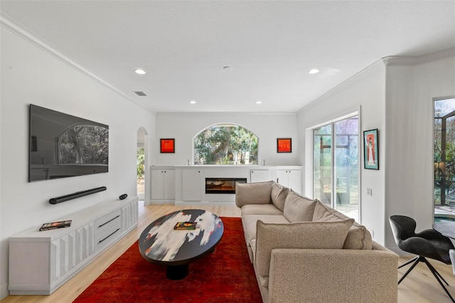 living area with light wood-type flooring, a glass covered fireplace, a healthy amount of sunlight, and crown molding