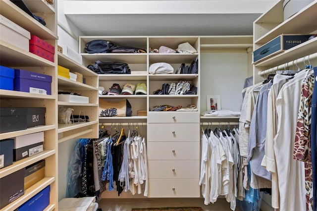 view of spacious closet