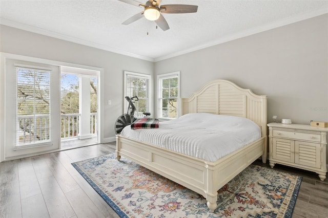 bedroom featuring access to exterior, a textured ceiling, crown molding, and wood finished floors