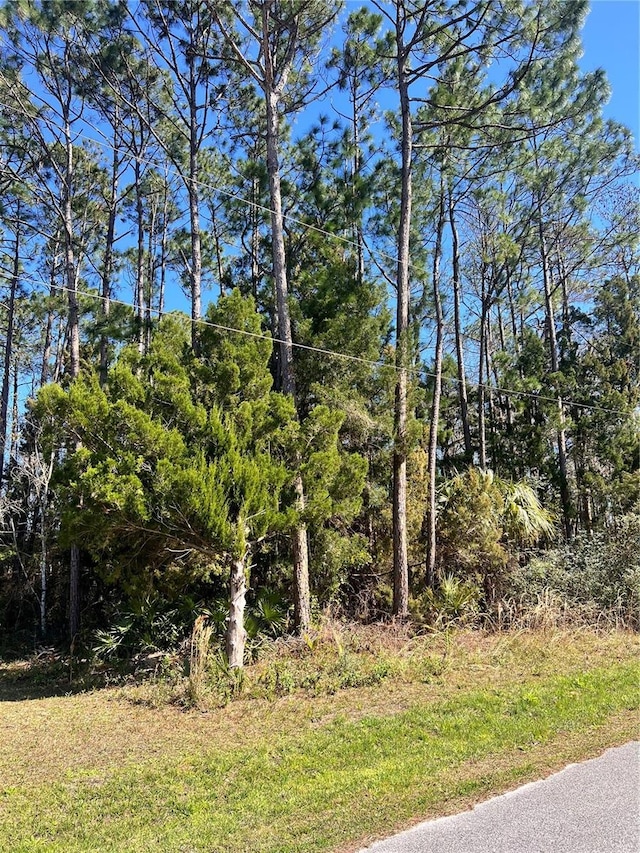 Listing photo 2 for 179 Ullian Trl, Palm Coast FL 32164