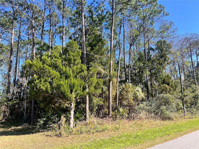 179 Ullian Trl, Palm Coast FL, 32164 land for sale