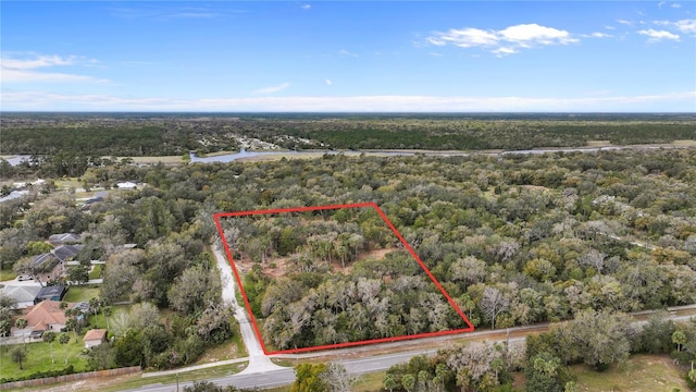 2822 John Anderson Hwy, Flagler Beach FL, 32136 land for sale