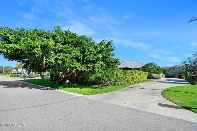 view of road with driveway