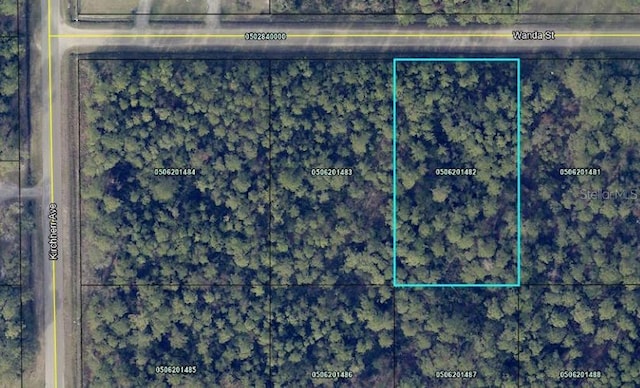 4445 Wanda St, Hastings FL, 32145 land for sale