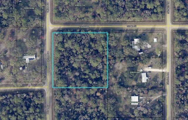 10200 Oliver Ave, Hastings FL, 32145 land for sale