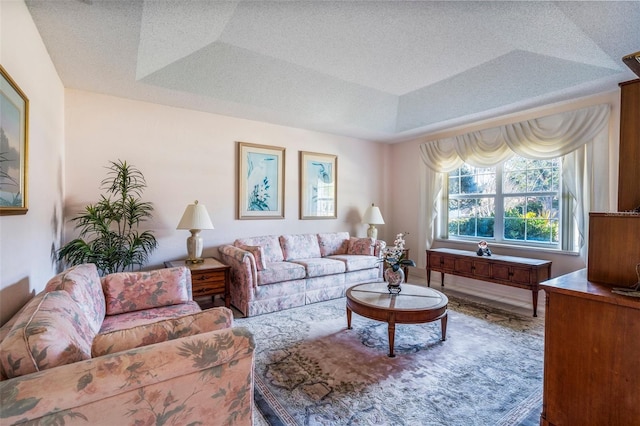 living area with a raised ceiling and a textured ceiling