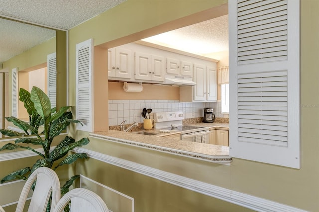 kitchen featuring white electric range oven, decorative backsplash, a textured ceiling, under cabinet range hood, and a sink