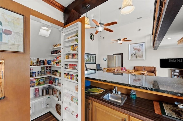 pantry with a sink