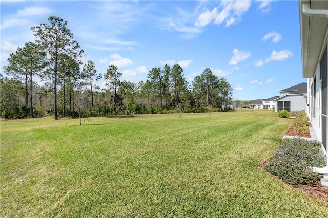 view of yard