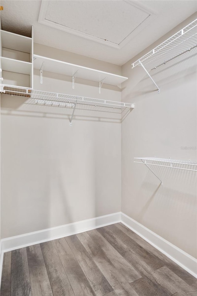 spacious closet with attic access and wood finished floors