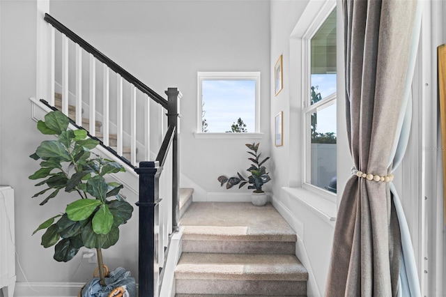 562 Kendall Crossing Dr, Saint Johns, FL 32259 - stairs featuring carpet flooring and baseboards