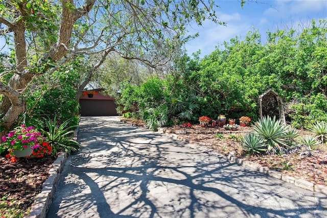exterior space featuring curbs and driveway