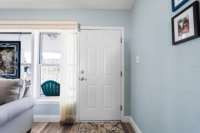 entrance foyer with baseboards and wood finished floors