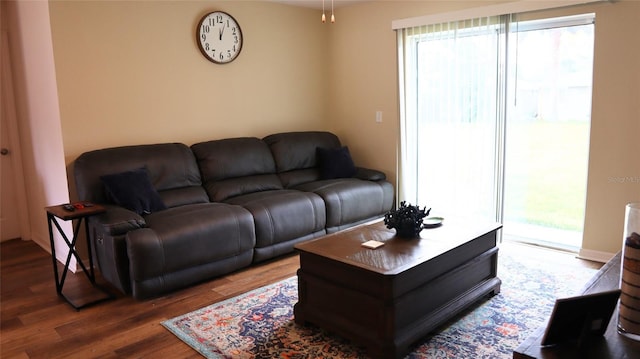 living room featuring wood finished floors