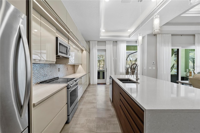 kitchen featuring appliances with stainless steel finishes, a raised ceiling, a sink, and modern cabinets