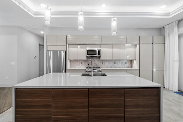 kitchen with appliances with stainless steel finishes, a tray ceiling, a sink, and modern cabinets