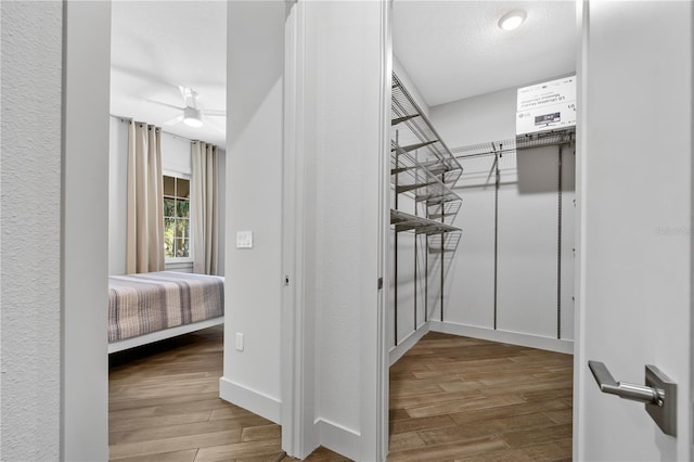 walk in closet with wood finished floors