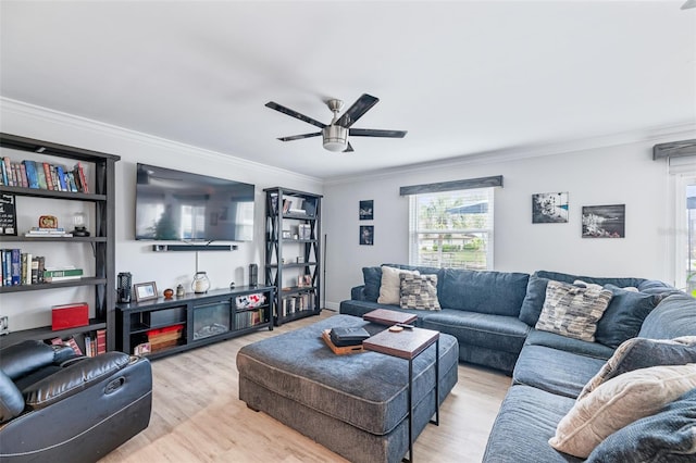 living area with light wood finished floors, ceiling fan, and ornamental molding