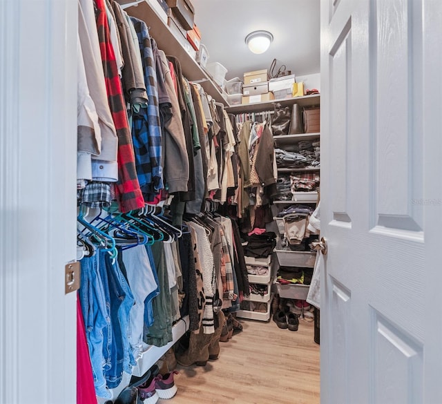 walk in closet featuring wood finished floors