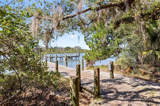 24 Los Lagos Blvd, Palm Coast, FL 32137 - photo 54