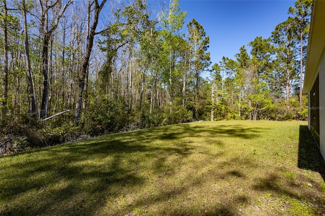 6 Zamia Pl, Palm Coast, FL 32164 - view of yard with a forest view