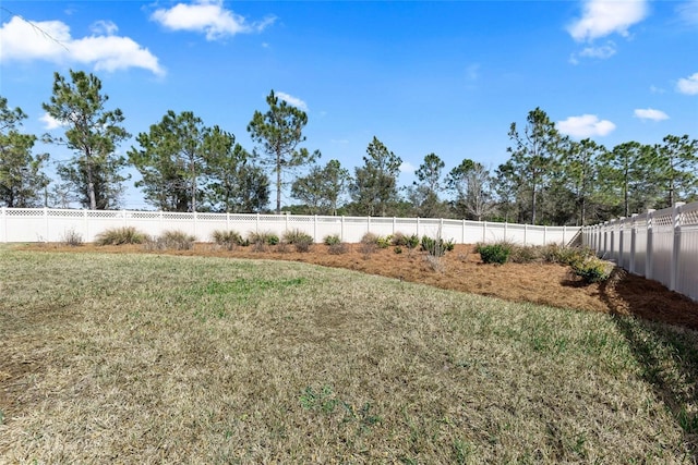 view of yard with a fenced backyard