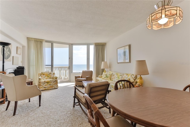 carpeted living room with a water view and a textured ceiling