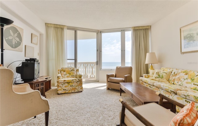 carpeted living room with a water view