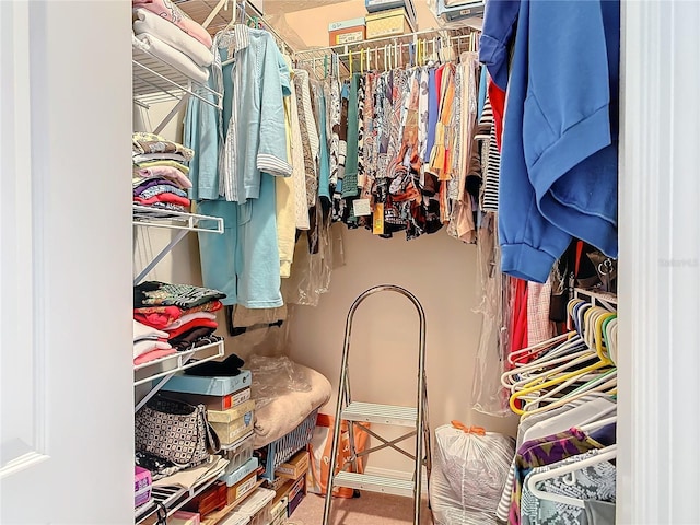 9 Cedar Hollow Ct, Palm Coast, FL 32137 - view of walk in closet