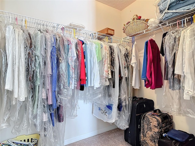 9 Cedar Hollow Ct, Palm Coast, FL 32137 - view of spacious closet
