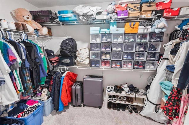 spacious closet with carpet